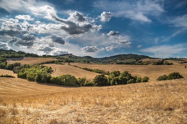 Les fiches pratiques sur le thème agricoles astuces conseils guides