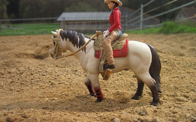 Idées de costume de cowgirl maison de cowgirl