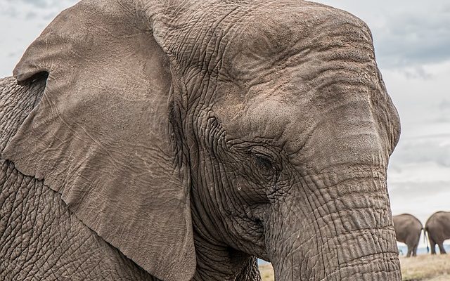 Comment se débarrasser des rides du froncement des sourcils autour de la bouche