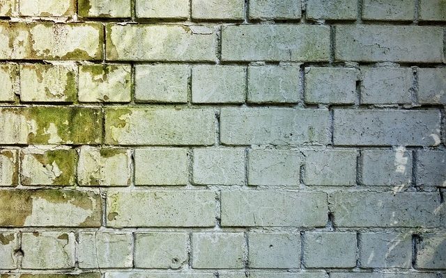 Remèdes à la maison pour nettoyer les moisissures sur les murs