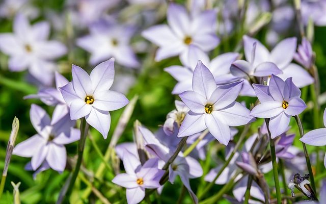 Comment éliminer la condensation des fenêtres des serres